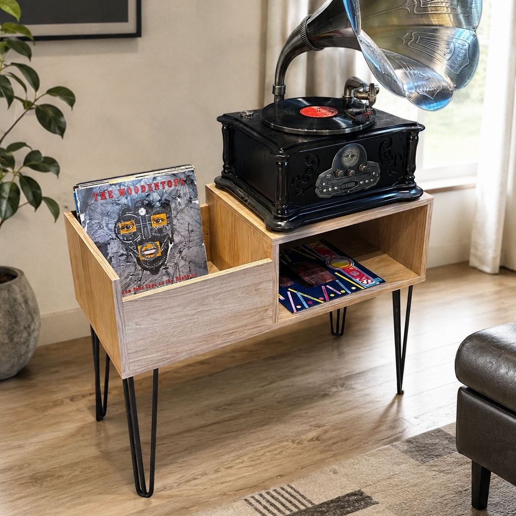 VINYL RECORDS STORAGE AND TURNTABLE STAND